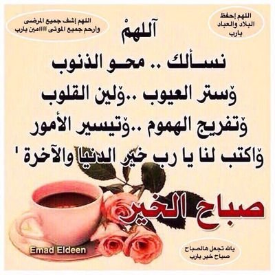 8pvpaQWRlRtJE6c's profile picture. 