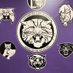 LHS_Activities (@lhs_activities) Twitter profile photo LHS_Activities (@lhs_activities) Twitter profile photo