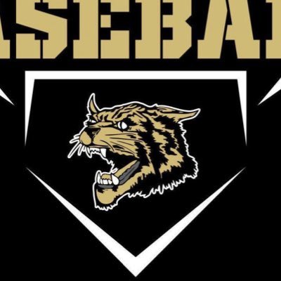 Official twitter of the Cairo Bearcats Baseball team. Get scores, schedule updates and other team information all season long.