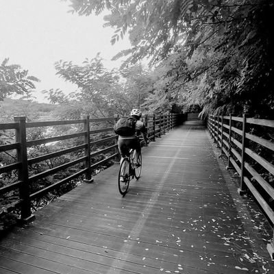 simplewoo's profile picture. 삐뚤삐뚤/ 날면서도/ 꽃송이 찾아 앉는 /나비를 보아라/마음아