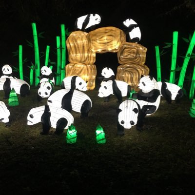 CASSIDIE11's profile picture. @notaire @lottosoudal @Philo