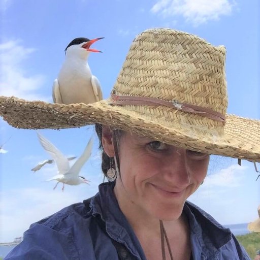 Writer, journalist, poet, naturalist. Director, Smith College Journalism Concentration. MG debut: MONARCHS OF WINGHAVEN, @WalkerBooksUS. Rep @AlliDHellegers.