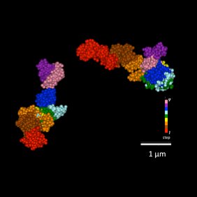 Wu Lab Profile