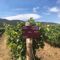 Pubs,Wine and Food (@pubswineandfood) 's Twitter Profile Photo