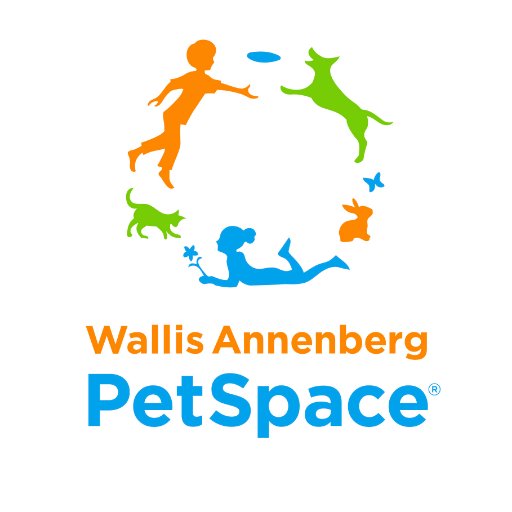 AnnPetSpace Profile Picture