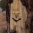 bhwtech's profile image