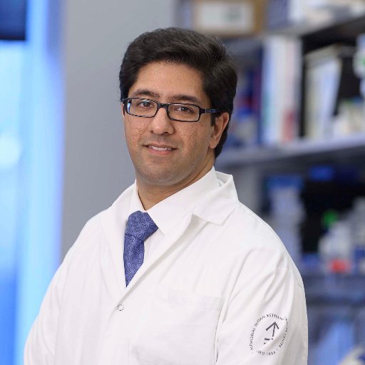 Raajit Rampal, M.D.Ph.D. Profile