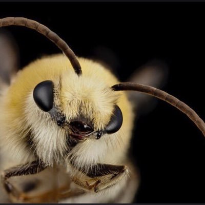 beeさんのプロフィール画像
