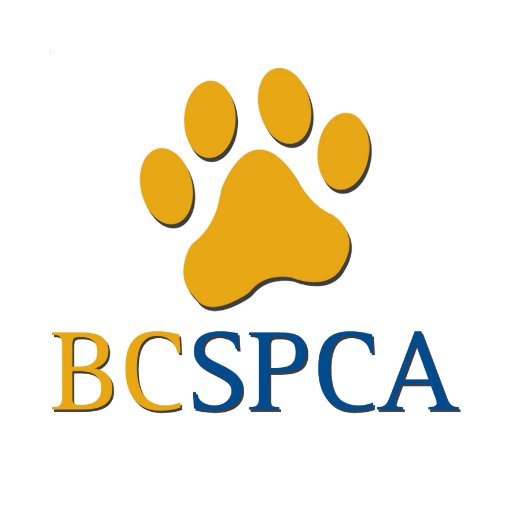 BC SPCA is a non-profit organization dedicated to protecting & enhancing quality of life for animals in B.C. Monitored M-F 8-4. Cruelty Hotline: 1-855-622-7722