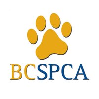 BC SPCA / BCSPCA(@BC_SPCA) 's Twitter Profile Photo