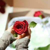 عهود المطيري (@3__hoood541) Twitter profile photo