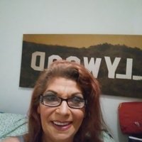 Cynthia Lindsey - @Cynthia63277508 Twitter Profile Photo