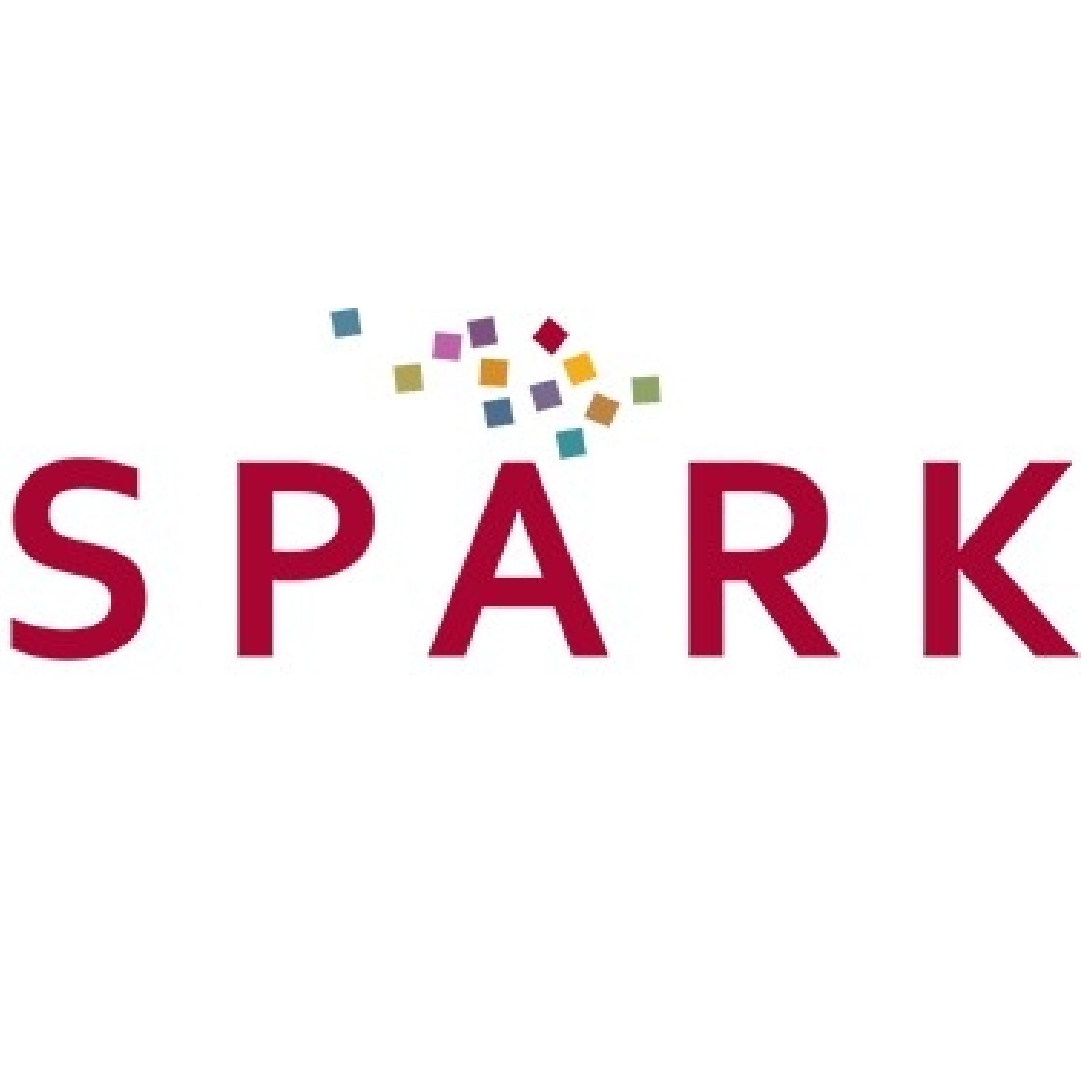 SPARK_Stanford Profile Picture