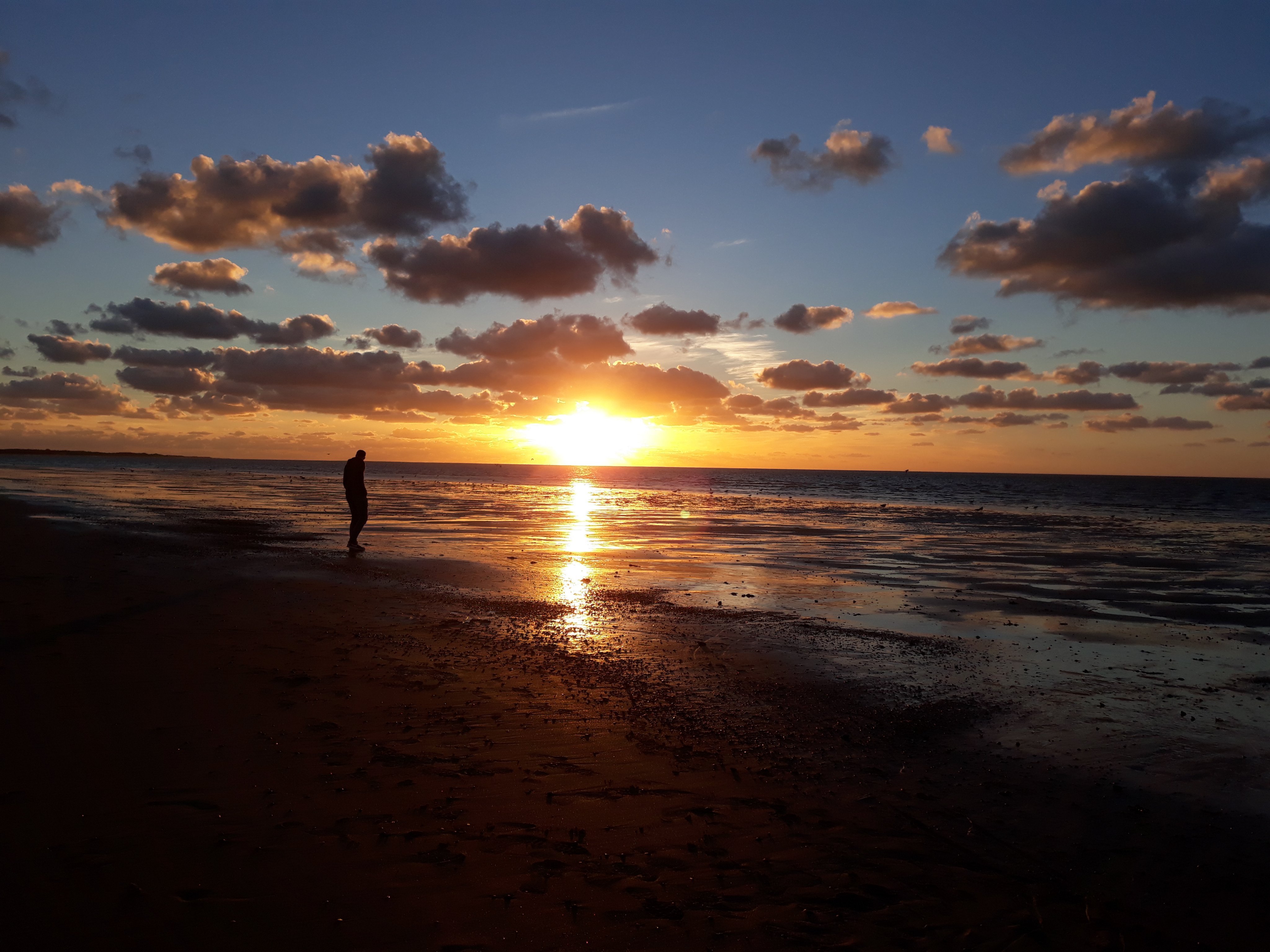 sinara_HD's profile picture.