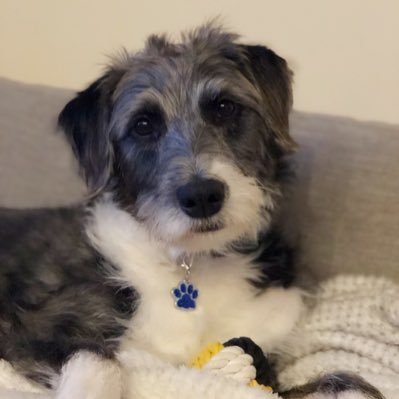 thejacklynshow's profile picture. 