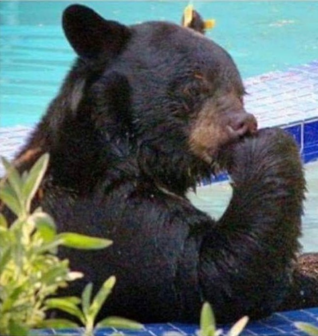 rjd279's profile picture. 