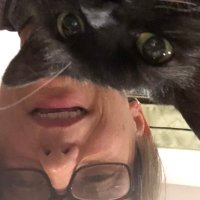 Karen K (@karenkart) 's Twitter Profile