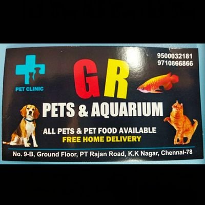 kk pet clinic