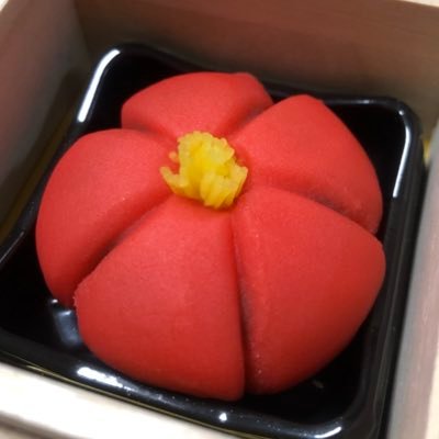 kannaduki931's profile picture. ぬぬーん(=ﾟωﾟ)ﾉ