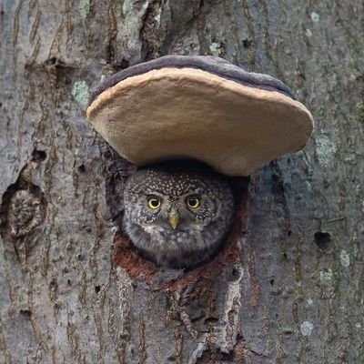 MungaStephen's profile picture. 