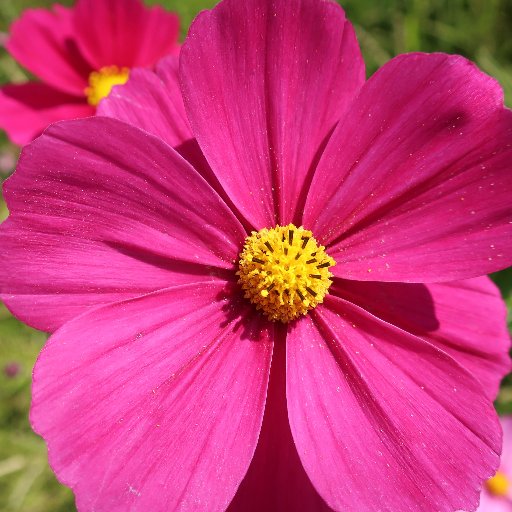 wolfchem10's profile picture. PO,IPO等のローリスク中心の投資です。その他、優位性のある取引に専念しております。