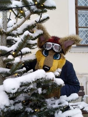 BoriszVolkov's profile picture. 