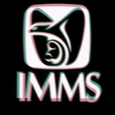 Cuenta oficial del Instituto Mexicano Memero Social en Twitter