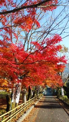 ENDC5WJUSz0KE3B's profile picture. 