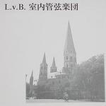 LVB_Chamb_Orch Profile Picture