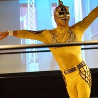 しゃちほこマシーン (@syatihoko1120) 's Twitter Profile