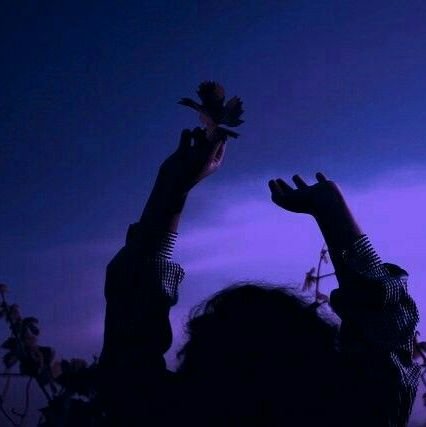 YasmineMhr1's profile picture. ‏‏ابتسم للحياة
...تبتسم لك🌸