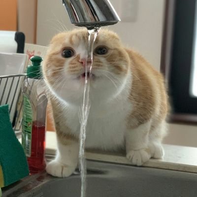 Boc8SyCDis2P7Qz's profile picture. 