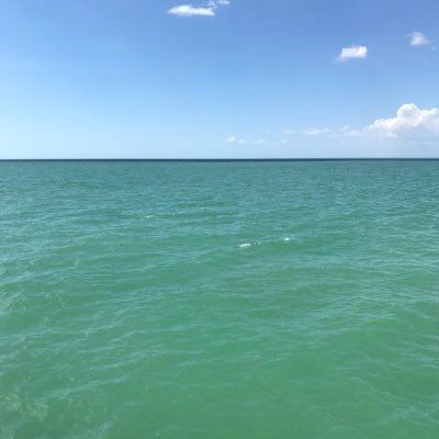 lovinlifeXYZ's profile picture. boy mom dog mom wife full time employee