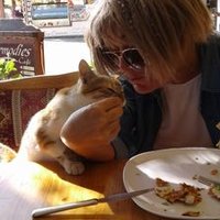 Tcastak (@tcastak) 's Twitter Profile