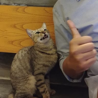 ajigrumpy's profile picture. Somekind of Monster - Hash Slinging Slasher - Momentary master of a fraction of a dot.