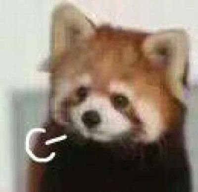 linklink699's profile picture. 