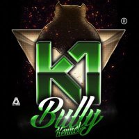 juninho_k1Bully (@k1bully) 's Twitter Profile