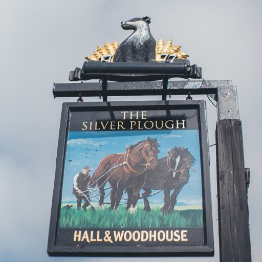 The Silver Plough is a beautiful country pub just outside Salisbury, a delicious menu, fantastic Badger beers, South facing garden, skittle alley 01722 712266