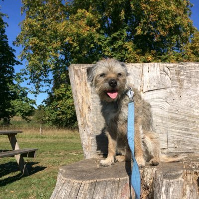 Lived life in the moment….with never a moment’s regret for bad behaviour. OTRB 🌈 19.5.22. Much missed. @HarristheBorder soon to be following in his pawsteps