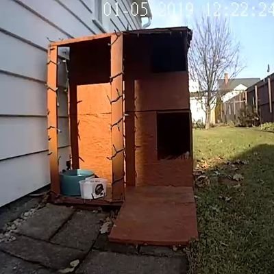 Food, shelter & TNR for several kitties in Northeast Ohio. Donations: https://t.co/CHzxjpBvTe…
Paypal: rdelmoko@hotmail.com