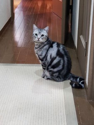 Xpqp1LsCS3TS0DG's profile picture. 