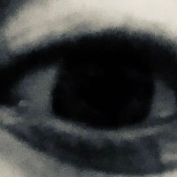 Mister Bungle (@hellomrbungle) 's Twitter Profile