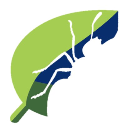 ControlPlagaB's profile picture. Empresa 100% mexicana con más de 18 años de experiencia en el combate de plagas.