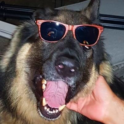 Suporeee's profile picture. three o's, no more no less