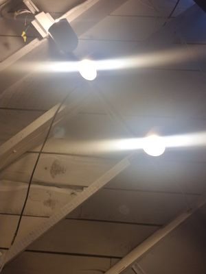 GODLIKEGAMING2's profile picture. Fun guy who plays seige