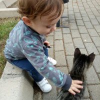 Berna Belce (@bbelce) Twitter profile photo