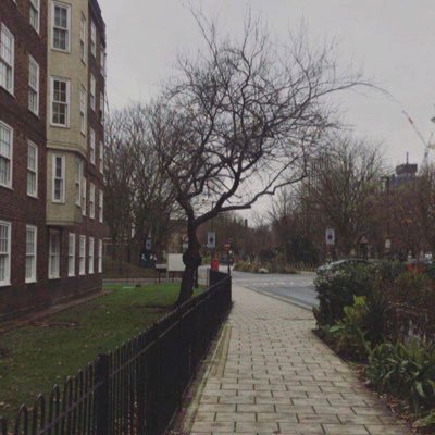 a40004s's profile picture. 💤😴