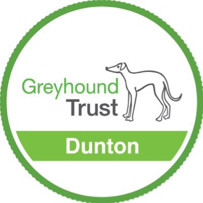 Greyhound Trust Dunton rehoming retired racing greyhounds