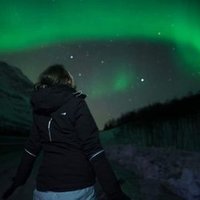 ͏Ta͏n͏t͏e ͏Re͏i͏s͏e͏f͏i͏e͏b͏e͏r (@treisefieber) Twitter profile photo