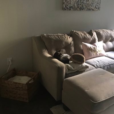 treenab21's profile picture. educator, union rep, believer in justice for all, God chaser, sinner saved by the blood of Jesus, mommy to a dog and diva cat